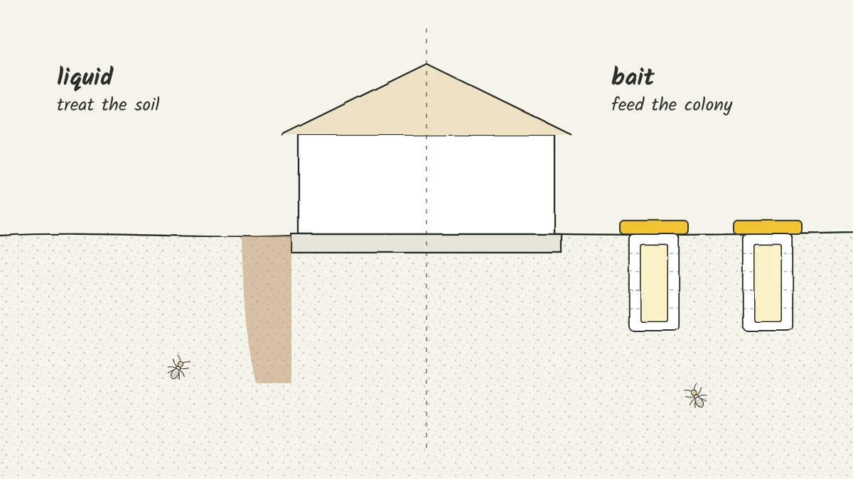 Sketch of a house split down the middle, with a shaded band of treated soil on one side and bait stations in the lawn on the other