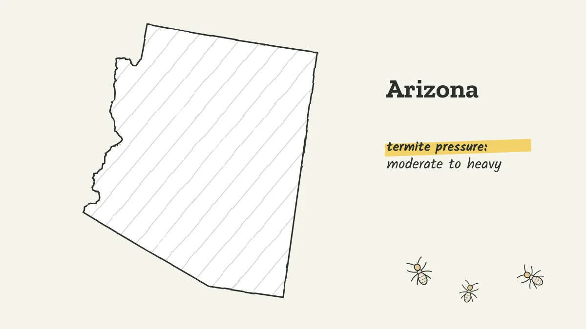 Sketch map of Arizona labeled with moderate to heavy termite pressure