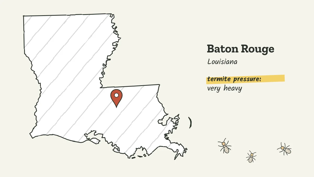 Sketch map of Louisiana with a pin on Baton Rouge on the Mississippi River