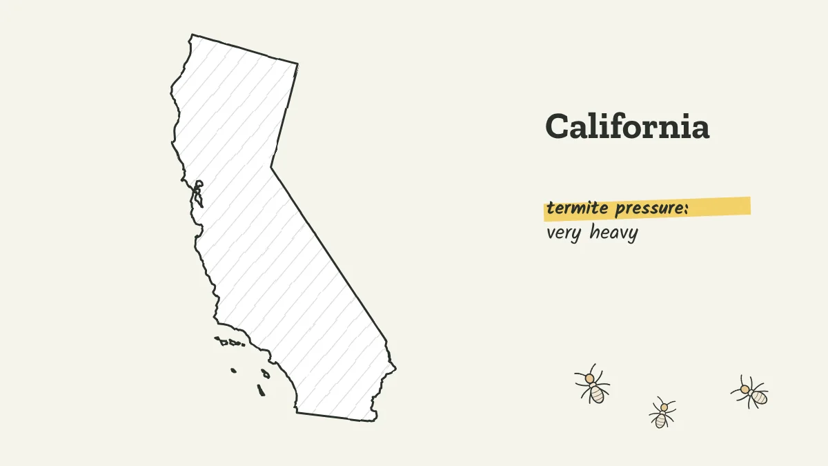 Sketch map of California labeled with very heavy termite pressure