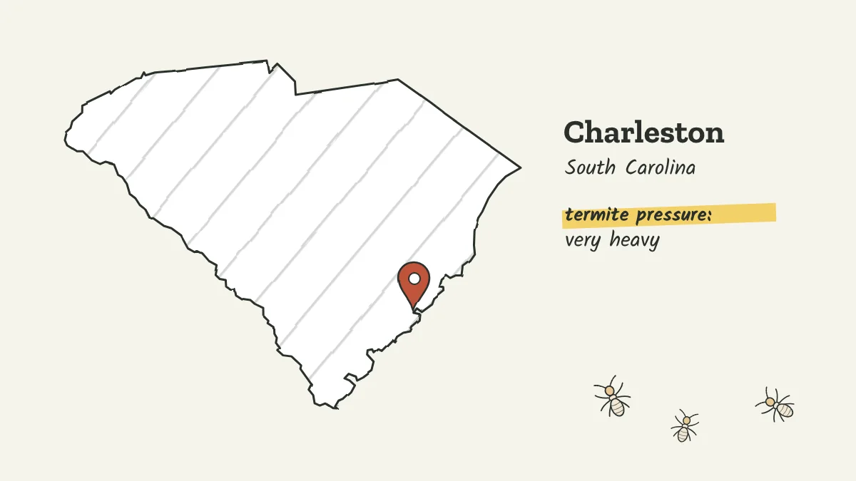 Sketch map of South Carolina with a pin on Charleston on the coast