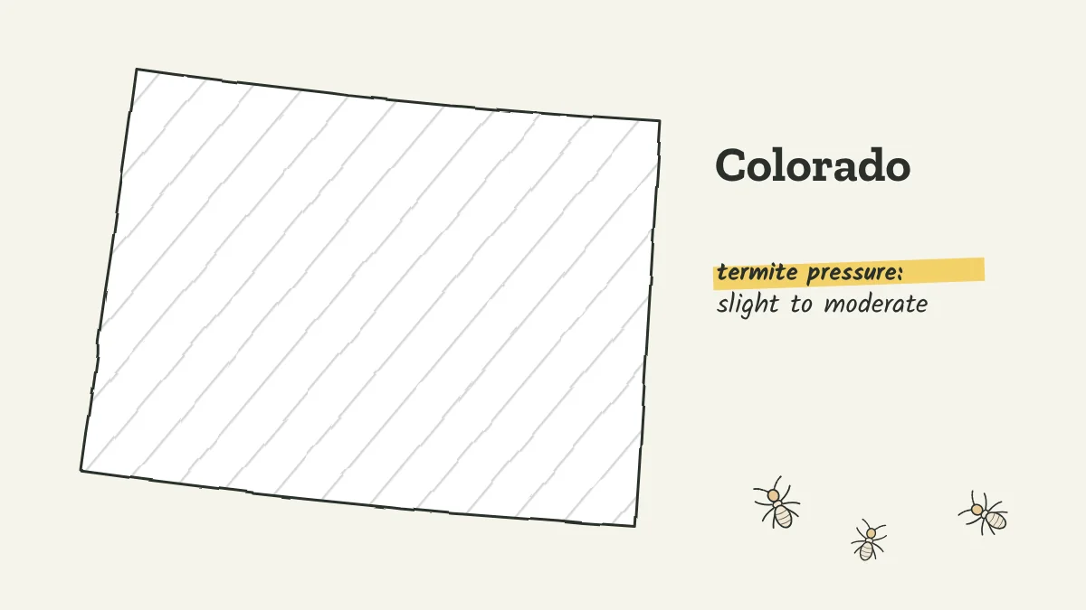 Sketch map of Colorado labeled with slight to moderate termite pressure