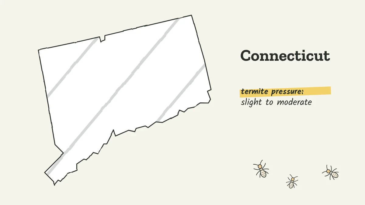 Sketch map of Connecticut labeled with slight to moderate termite pressure