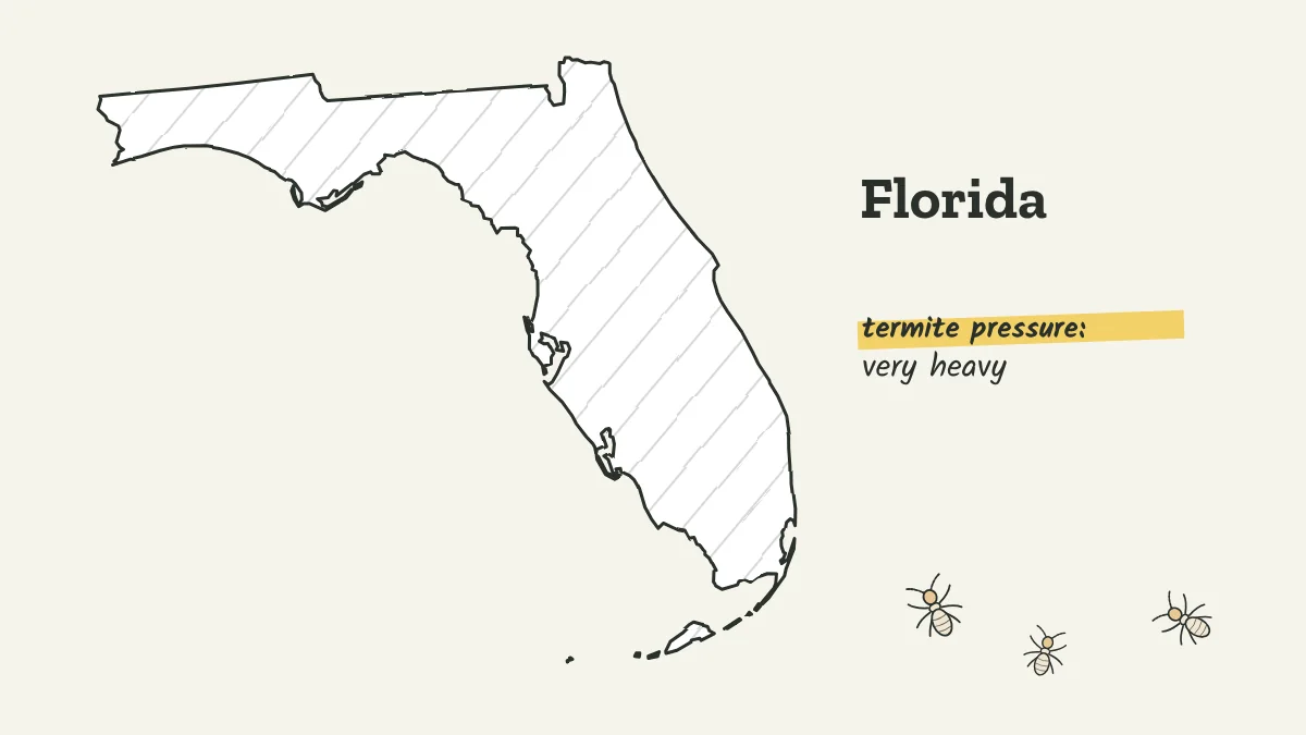 Sketch map of Florida shaded for very heavy termite pressure