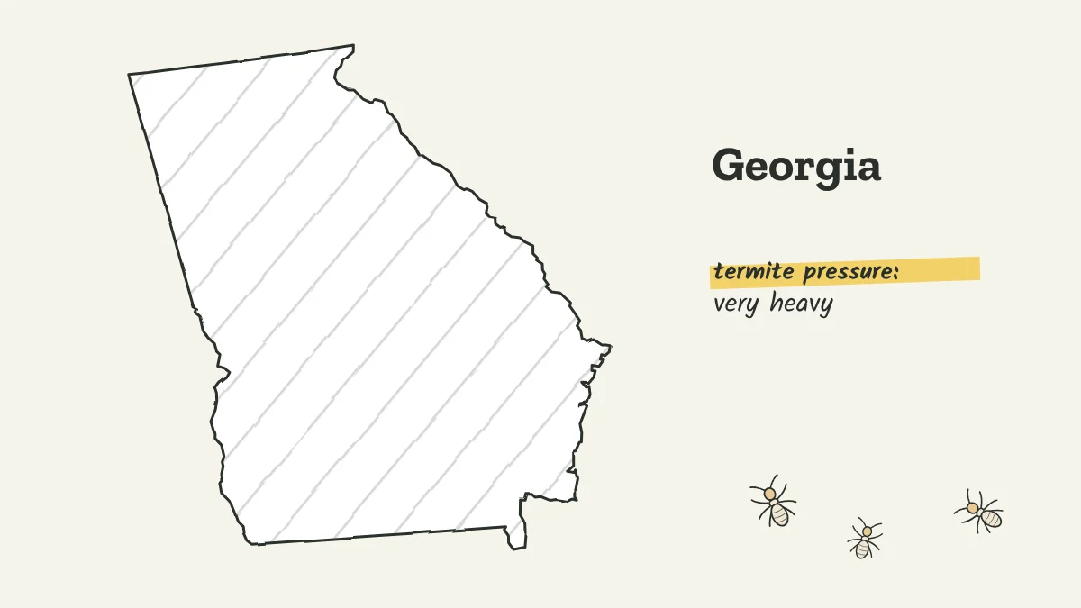 Sketch map of Georgia labeled with very heavy termite pressure
