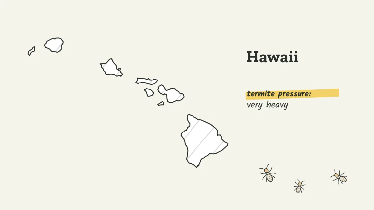 Sketch map of the Hawaiian Islands labeled with very heavy termite pressure