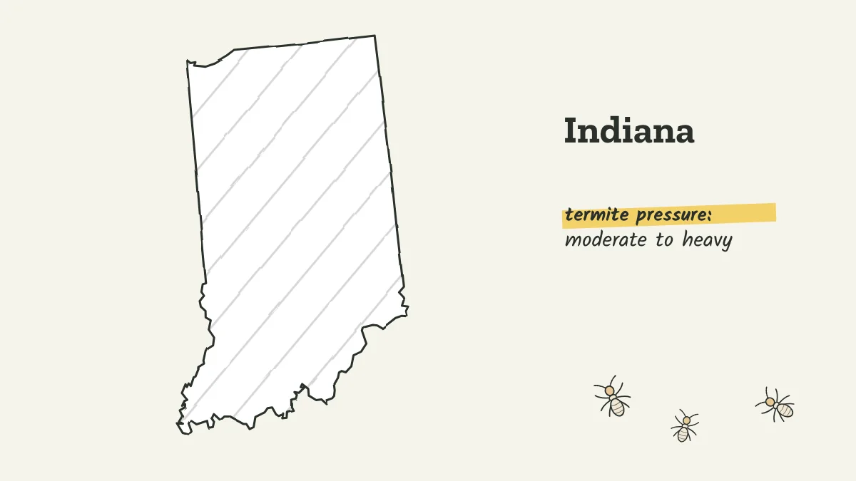 Sketch map of Indiana labeled with moderate to heavy termite pressure