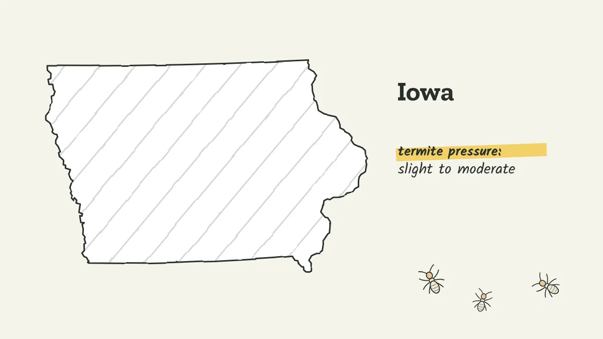 Sketch map of Iowa labeled with slight to moderate termite pressure