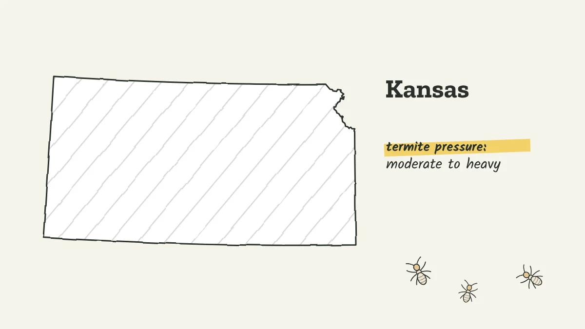 Sketch map of Kansas labeled with moderate to heavy termite pressure