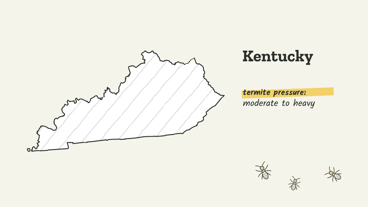 Sketch map of Kentucky labeled with moderate to heavy termite pressure