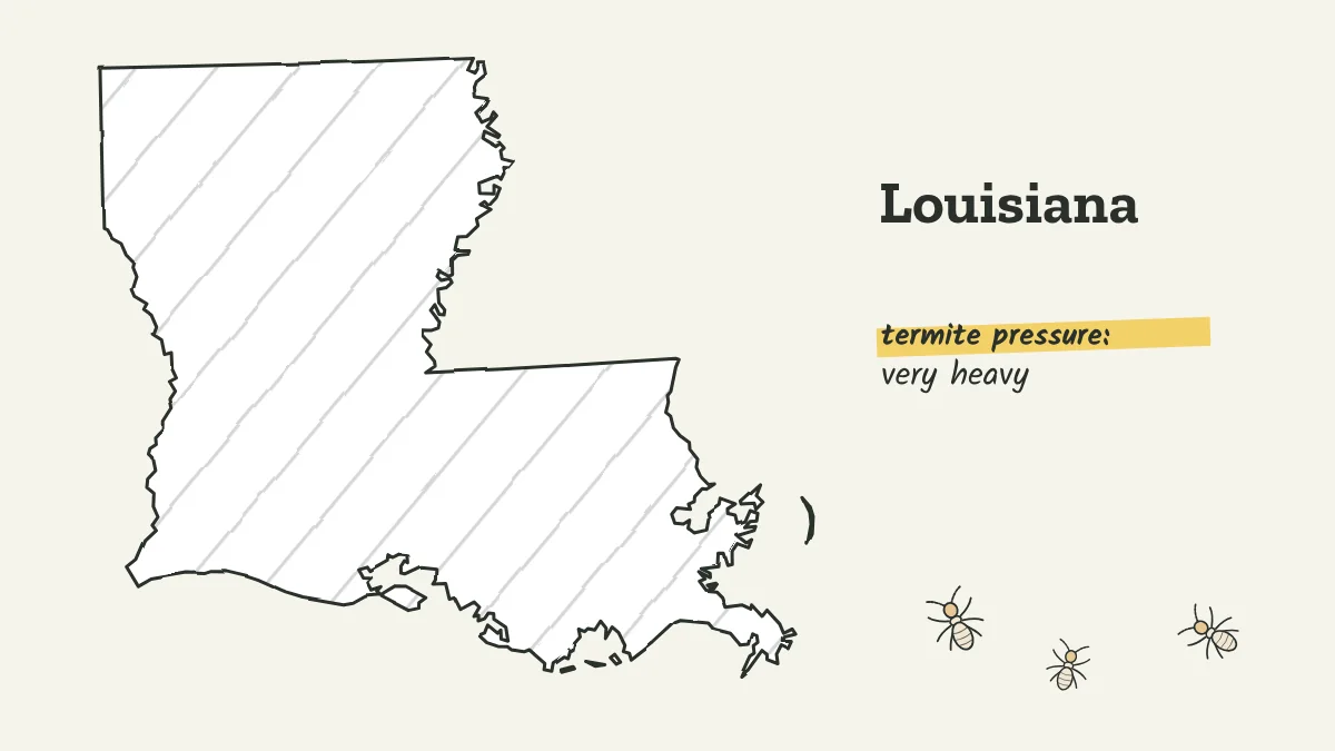 Sketch map of Louisiana labeled with very heavy termite pressure