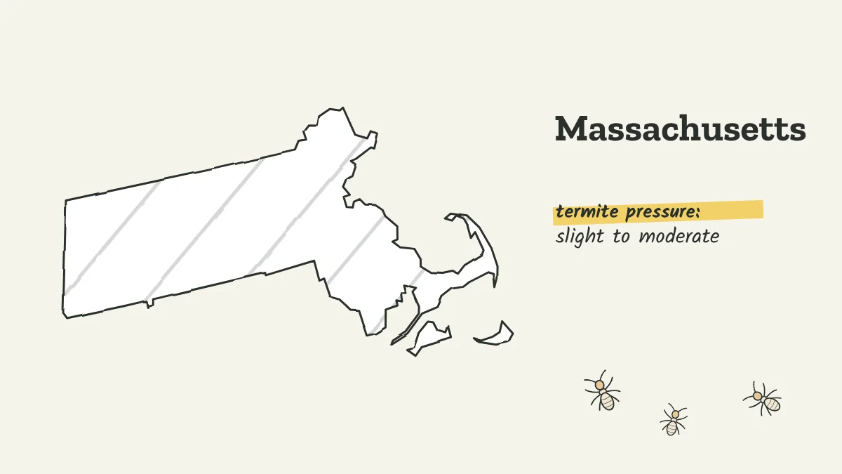 Sketch map of Massachusetts labeled with slight to moderate termite pressure