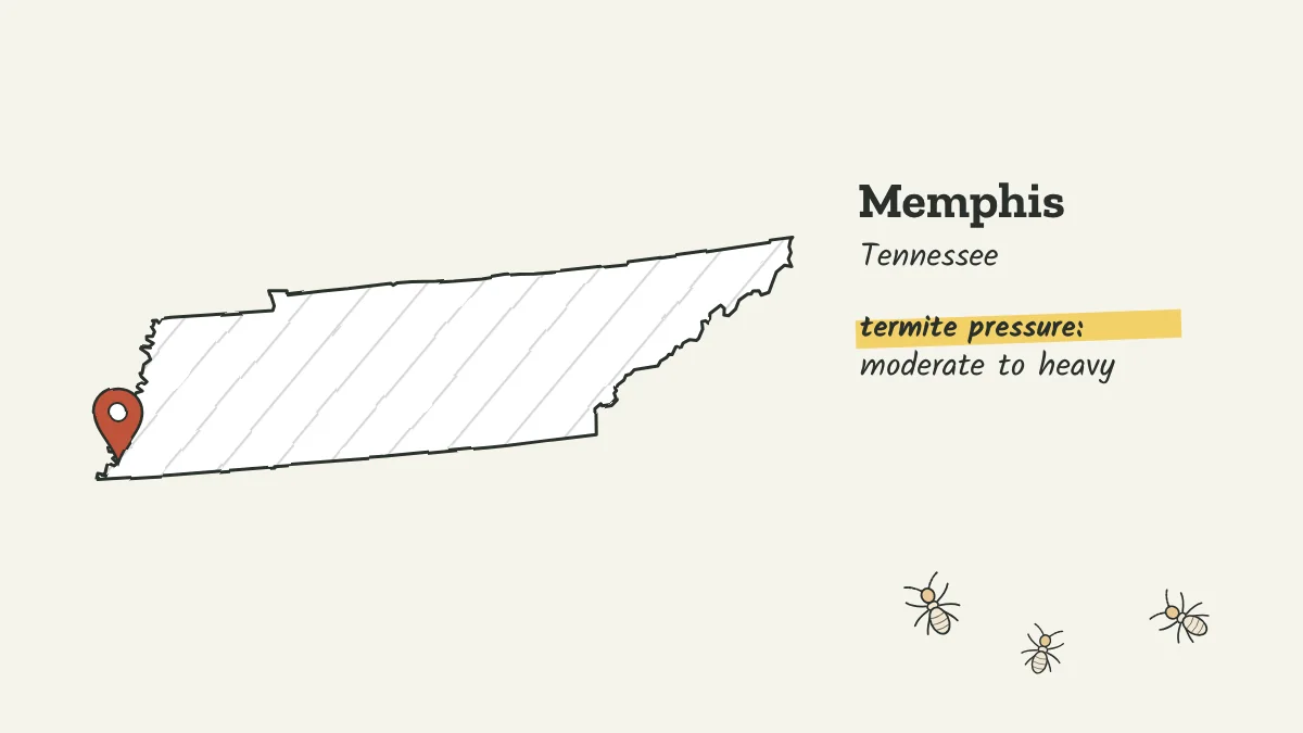 Sketch map of Tennessee with a pin on Memphis in the far southwest corner