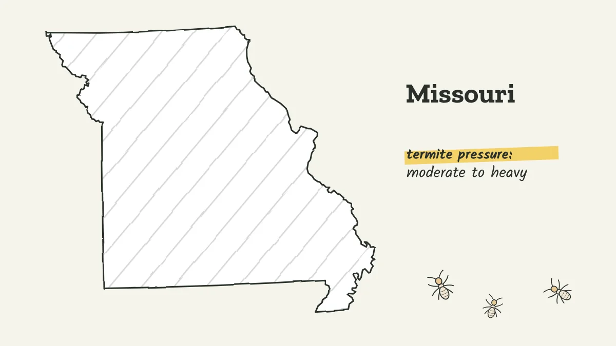 Sketch map of Missouri labeled with moderate to heavy termite pressure