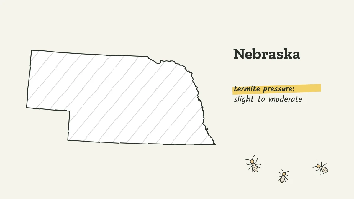 Sketch map of Nebraska labeled with slight to moderate termite pressure