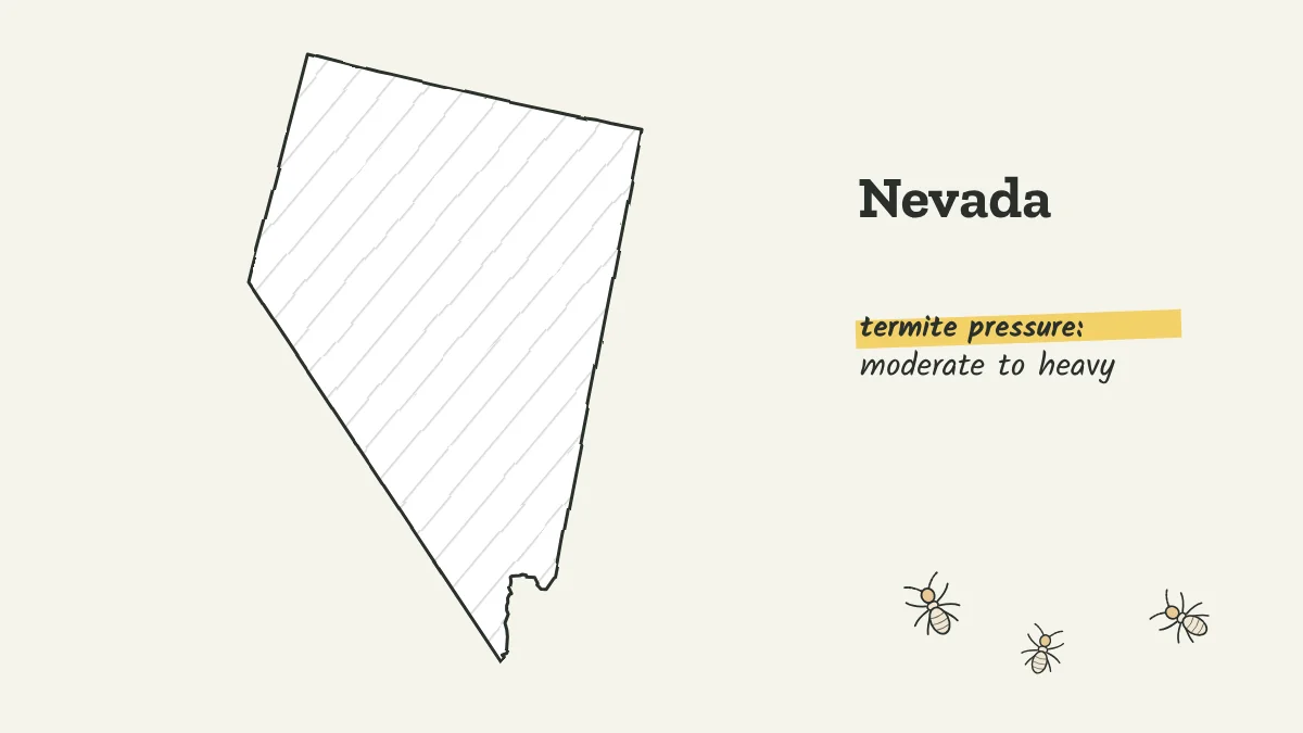 Sketch map of Nevada labeled with moderate to heavy termite pressure