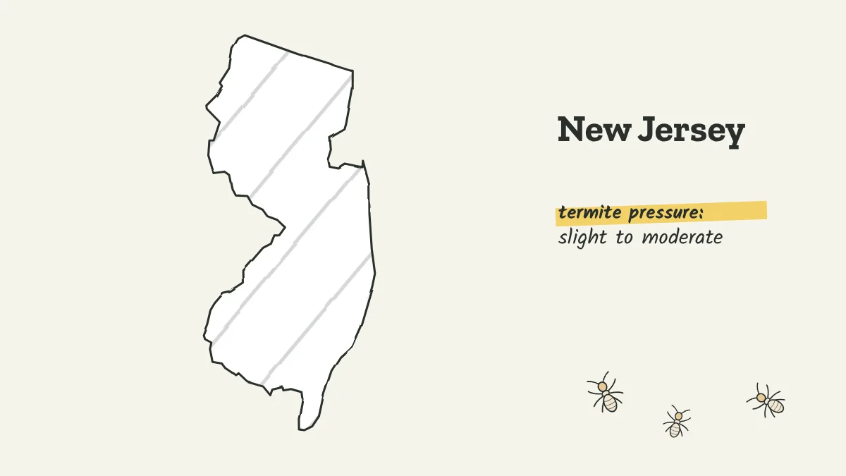 Sketch map of New Jersey labeled with slight to moderate termite pressure