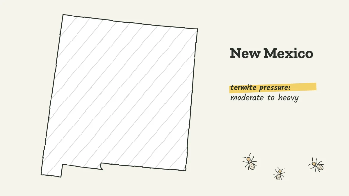 Sketch map of New Mexico labeled with moderate to heavy termite pressure