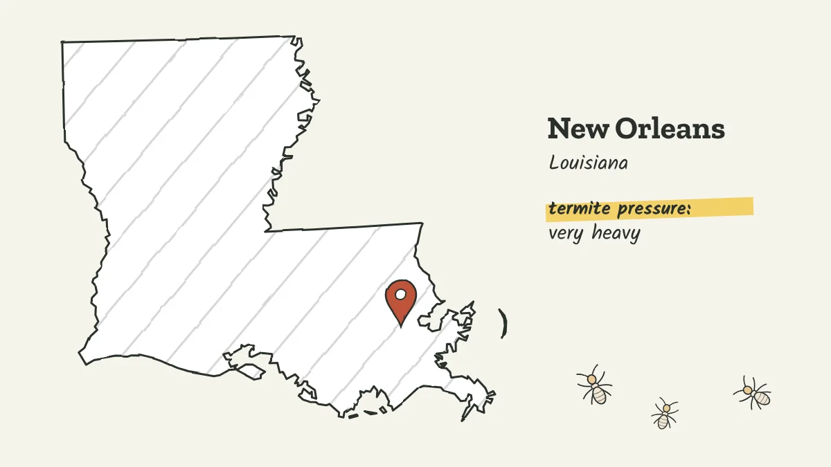 Sketch map of Louisiana with a pin on New Orleans in the southeast