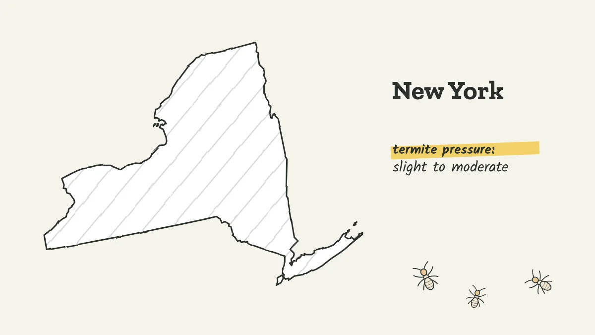 Sketch map of New York labeled with slight to moderate termite pressure