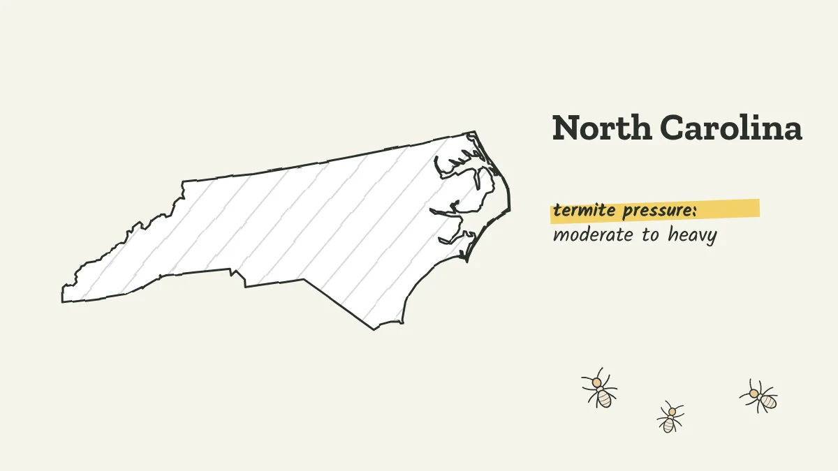 Sketch map of North Carolina labeled with moderate to heavy termite pressure