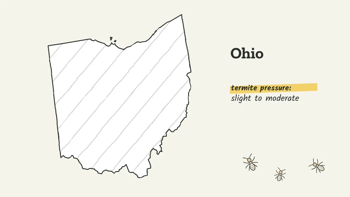 Sketch map of Ohio labeled with slight to moderate termite pressure