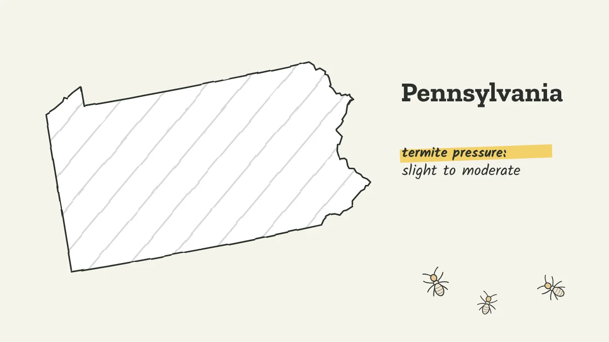 Sketch map of Pennsylvania labeled with slight to moderate termite pressure