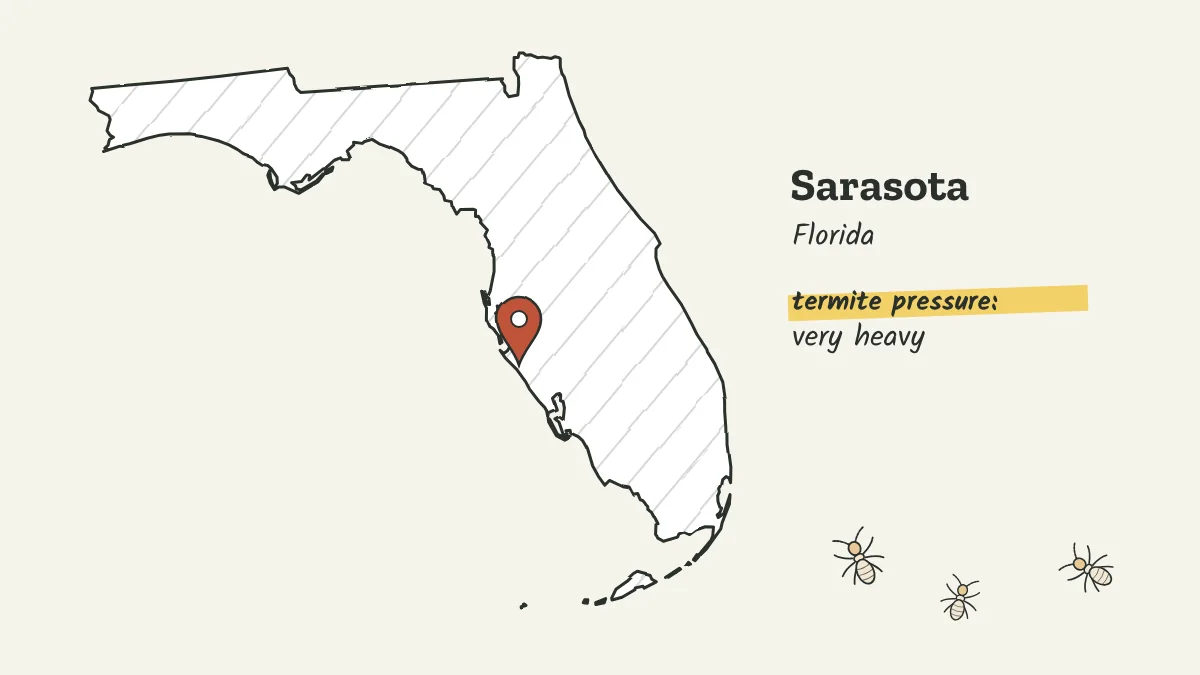 Sketch map of Florida with a pin on Sarasota on the central Gulf coast