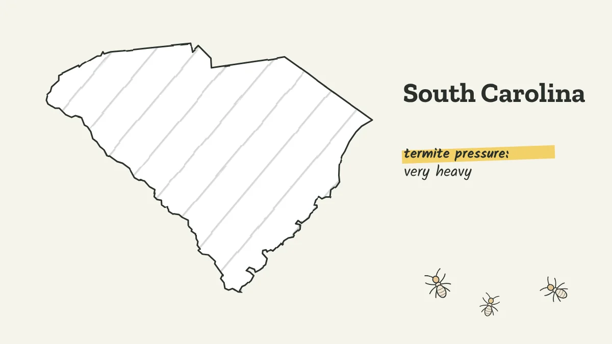 Sketch map of South Carolina labeled with very heavy termite pressure