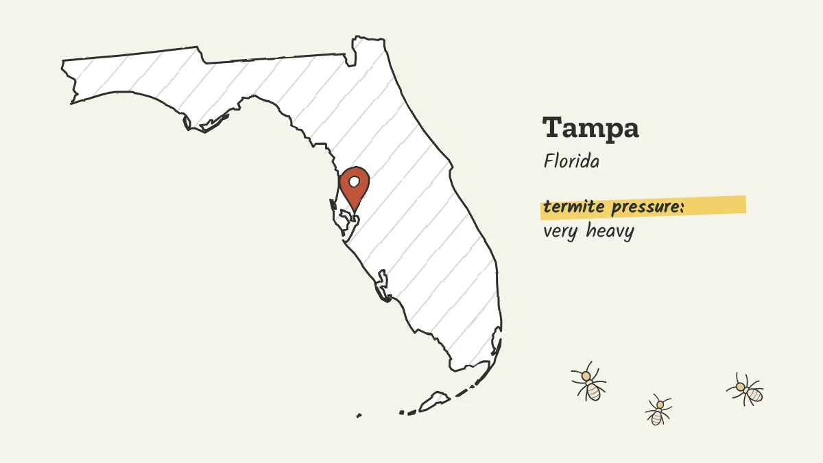 Sketch map of Florida with a pin on Tampa on the Gulf Coast