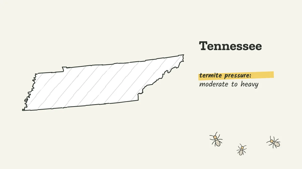 Sketch map of Tennessee labeled with moderate to heavy termite pressure