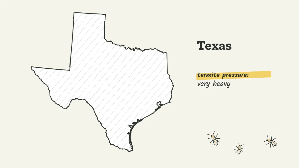 Sketch map of Texas shaded for very heavy termite pressure