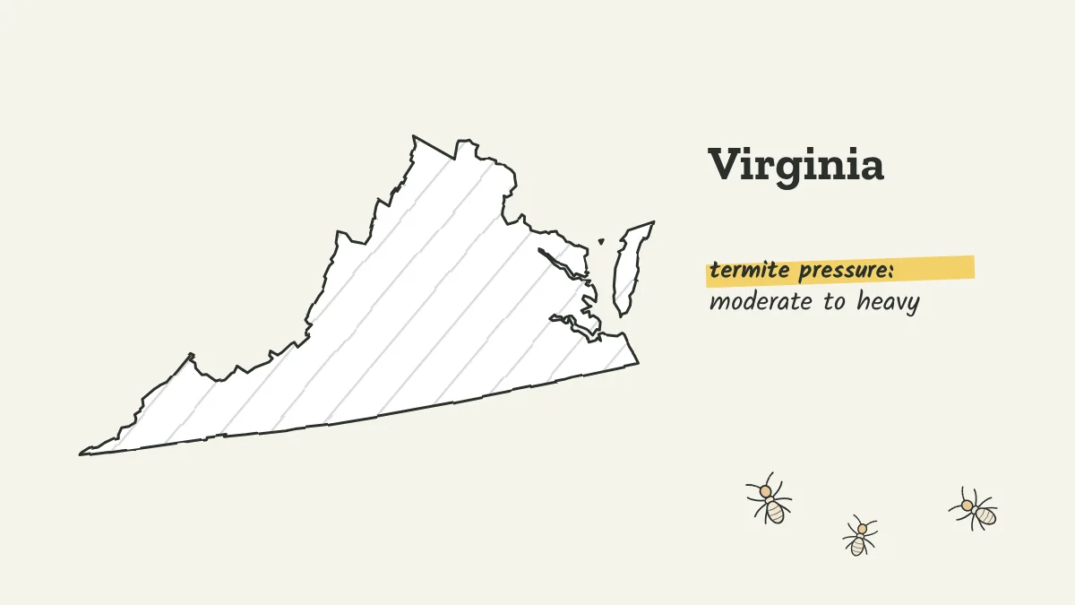 Sketch map of Virginia shaded for termite pressure