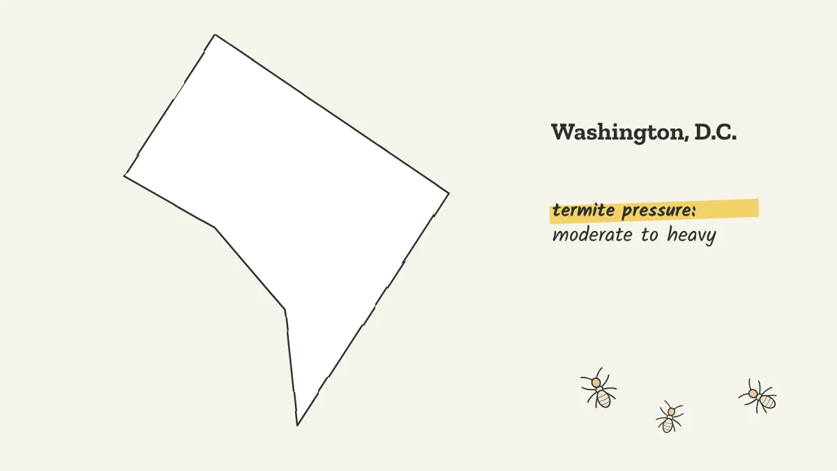 Sketch map of Washington, D.C. labeled with moderate to heavy termite pressure
