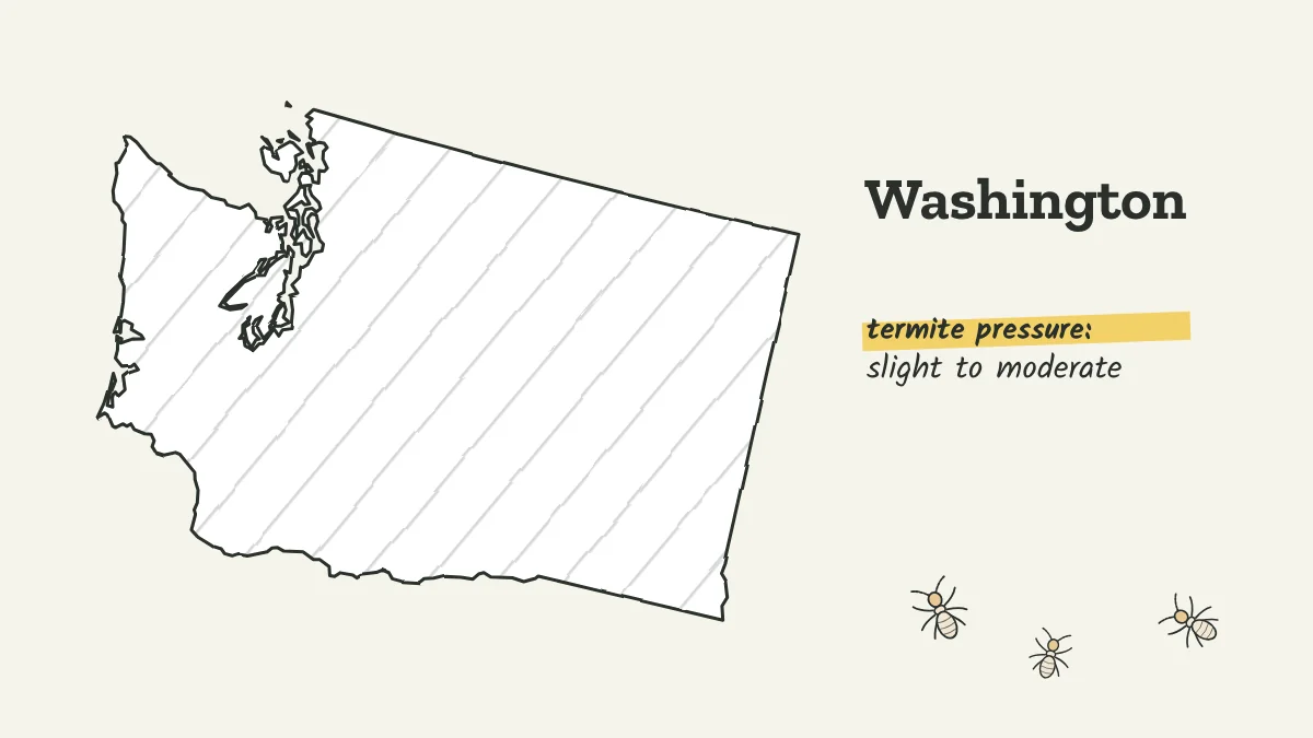 Sketch map of Washington labeled with slight to moderate termite pressure