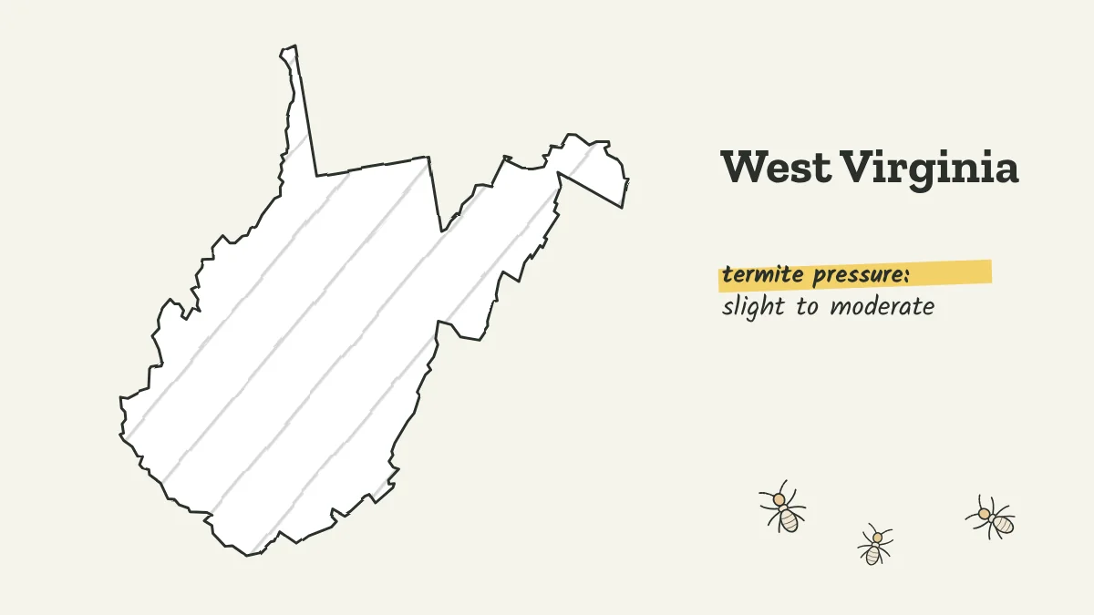 Sketch map of West Virginia labeled with slight to moderate termite pressure