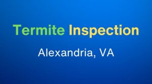 termite inspection alexandria, va